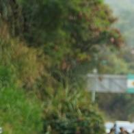 Habrá pico y placa en el kilómetro 18 este puente festivo en Cali, ¿cómo funcionará?