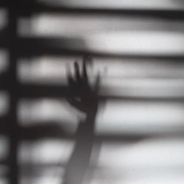 imagen principal home