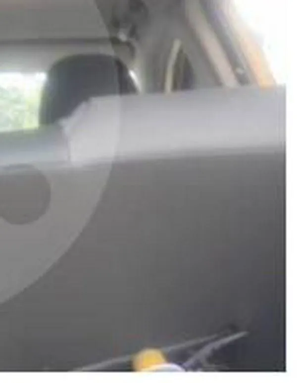 Insólito operativo de los bomberos en Medellín: quitaron un panal de abejas que apareció dentro de un taxi 