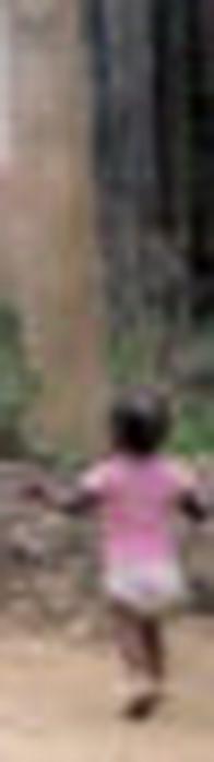 Cali sigue recibiendo desplazados: más de 200 personas han llegado huyendo de la violencia en Buenos Aires