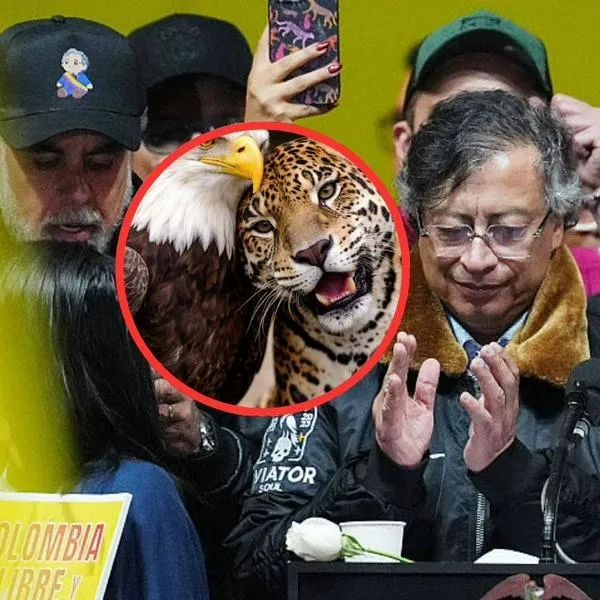 imagen principal home