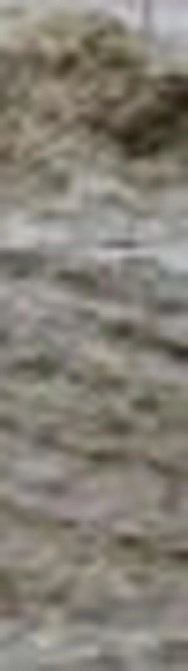 Durante las lluvias en el Valle del Cauca, autoridades recomiendan extremar cuidados al visitar zonas cercanas a ríos