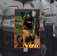 Emotivo homenaje a Niro, el perro de la Policía que murió por cáncer
