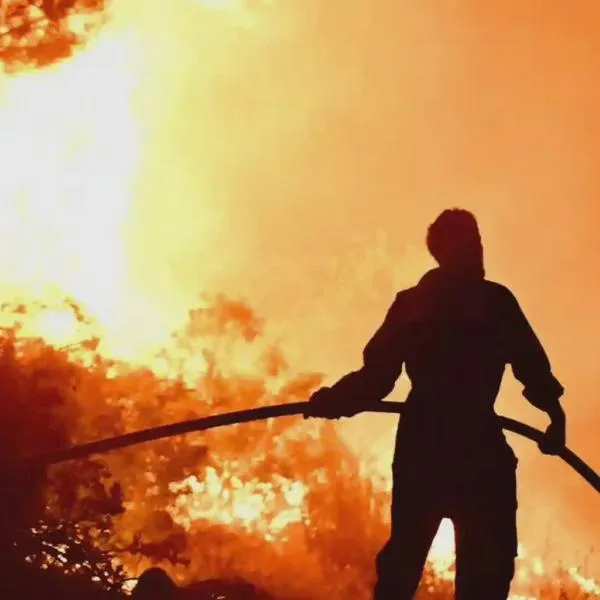 Incendios en la Patagonia siguen activos y ya arrasan miles de hectáreas