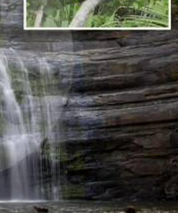 Los Katíos, el fascinante parque entre Chocó y Antioquia, se abrirá después de 30 años