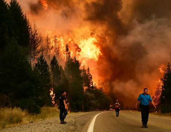Incendios arrasan miles de hectáreas en la Patagonia: con 10% de focos activos, el riesgo persiste
