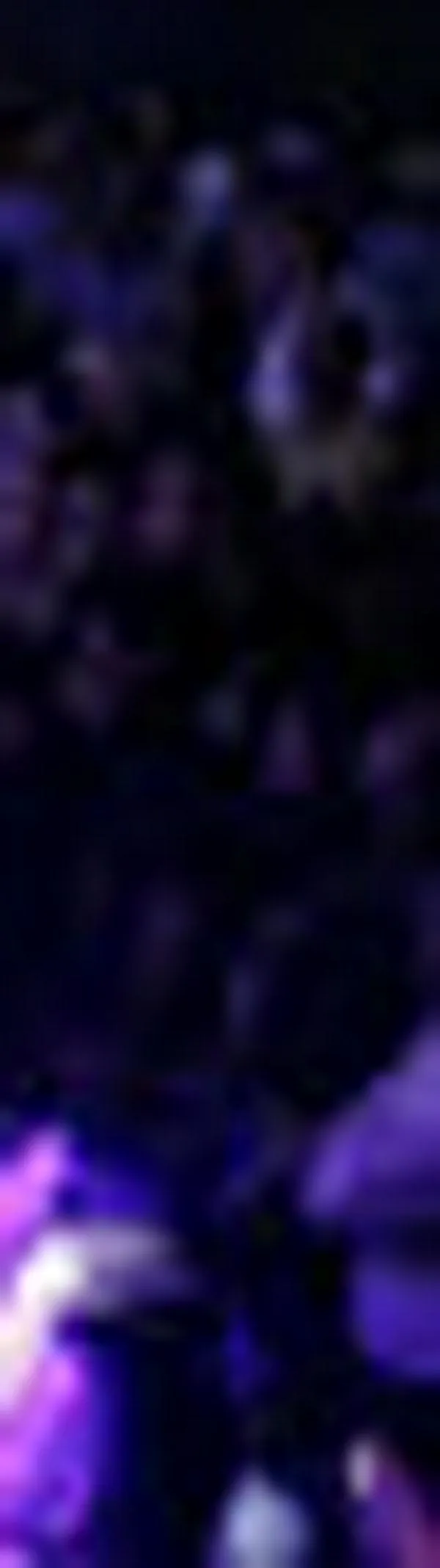 Medios internacionales eligen a la USC Arena, «Mejor Venue» de la Feria de Cali 2025