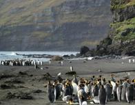 Clima: 2025 entre los años más calurosos jamás registrados