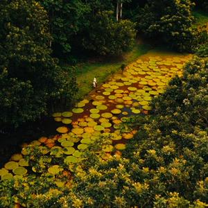 imagen nota inferior