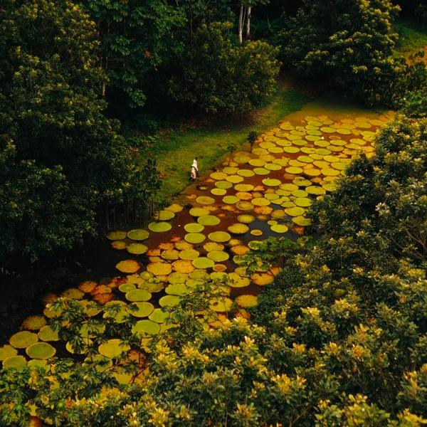 imagen principal home