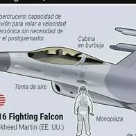 Denuncian que el Gobierno lleva un mes sin dar información sobre la compra de aviones Gripen, pese a orden de un juez