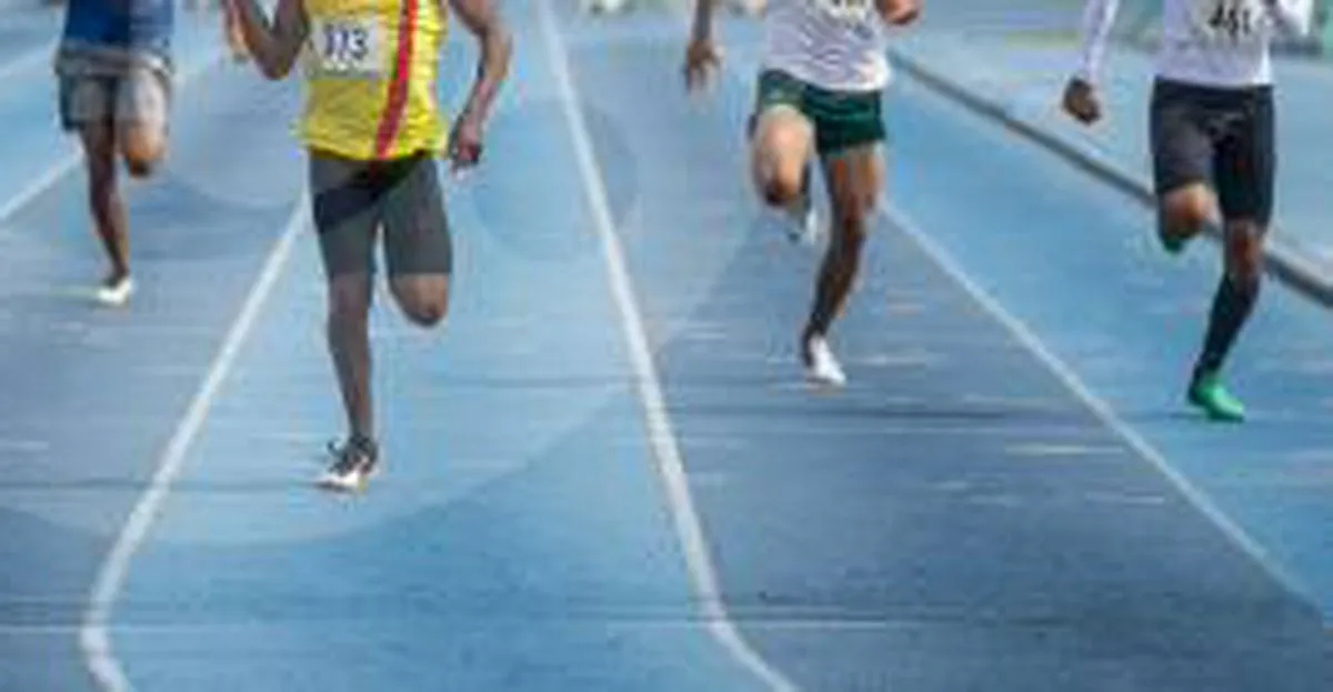 Imagen representativa del artículo