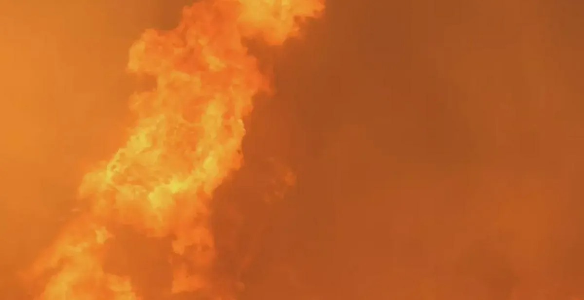 Imagen representativa del artículo