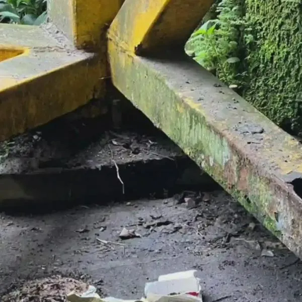 Puente peatonal de Bosques de Pinares presenta deterioro y preocupa a la comunidad