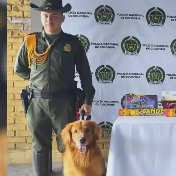 Canina de la Policía permitió la incautación de importante cantidad de pólvora