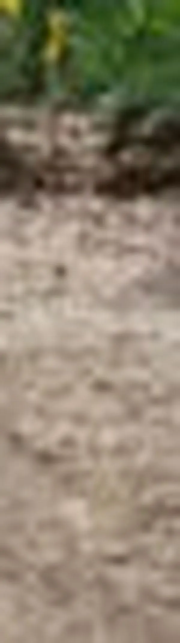 Conozca los tres frentes iniciales de la nueva calzada de la Avenida Cañasgordas