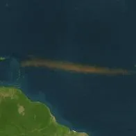 Por qué hay una franja marrón entre océano Atlántico y África, según reveló Nasa