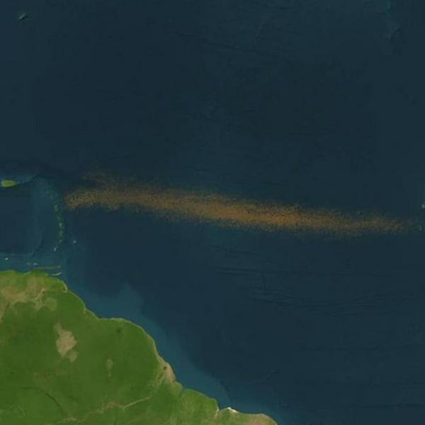 imagen principal home