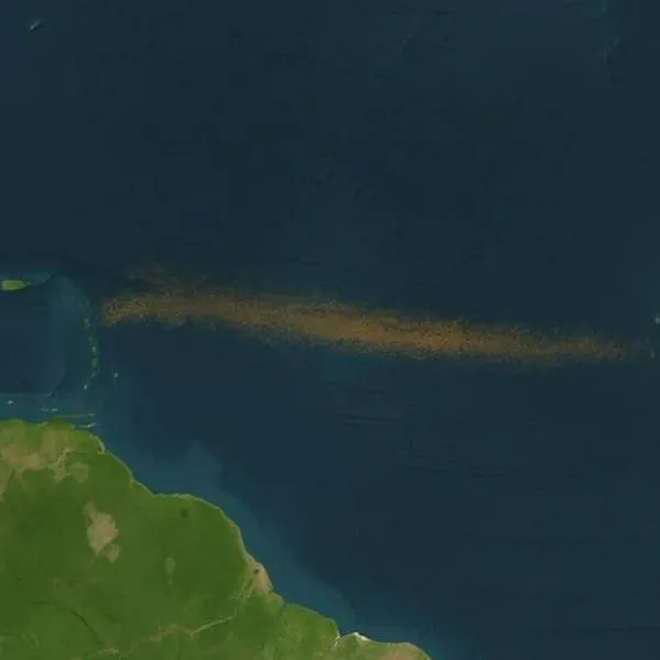 Por qué hay una franja marrón entre océano Atlántico y África, según reveló Nasa