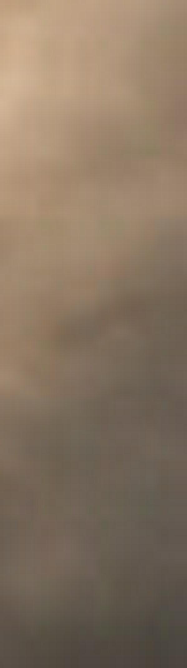 imagen principal home