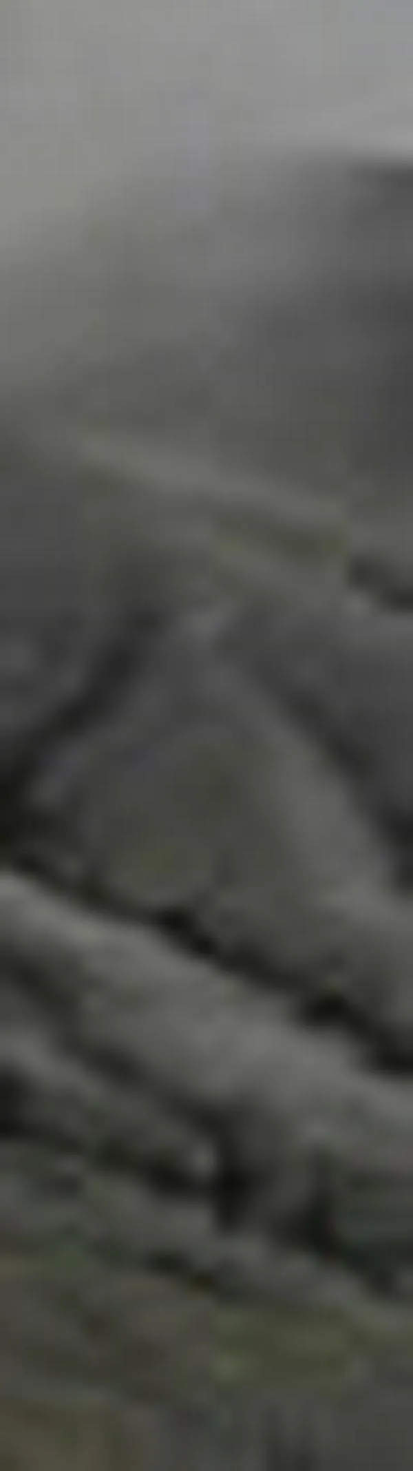 Volcanes Puracé y Piocollo bajo alerta naranja: conozca las recomendaciones Servicio Geológico Colombiano