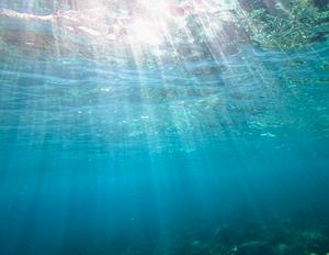 imagen nota inferior