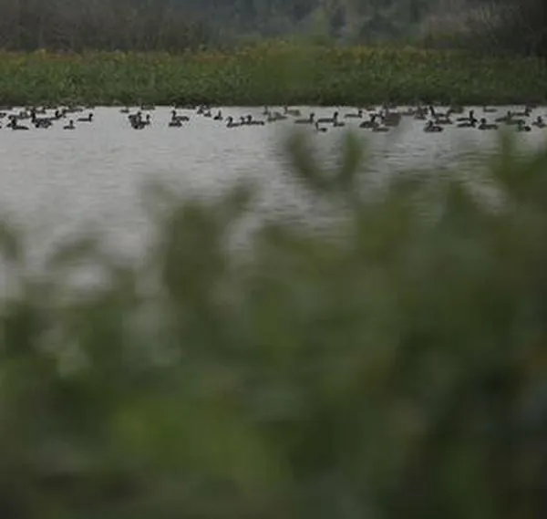 Una nueva hoja de ruta para Sabana Occidente en medio del desorden urbano   