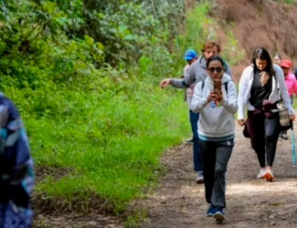 ¡Imperdible! Caminata ecológica gratis este domingo 18 de enero por el Parque Nacional de Bogotá 