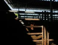 ¿Quién gana y quién pierde con el acuerdo UE-Mercosur?