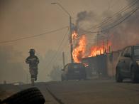 Emergencia en Chile por incendios forestales: cifra de muertos y más detalles
