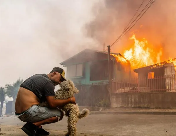 Incendios sin control en Chile dejan al menos 19 muertos y miles de evacuados