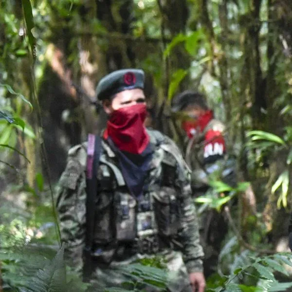 Número Guerrilleros venezolanos de Eln en Colombia estaría creciendo sin control