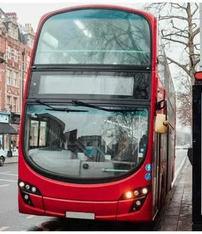 Imagen representativa del artículo