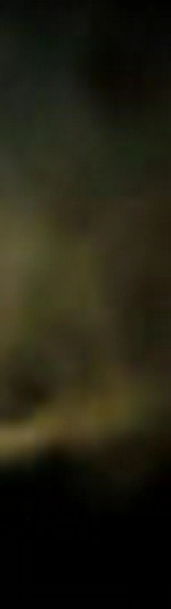 El regreso a la Luna marca uno de los grandes retos de la exploración espacial en 2026