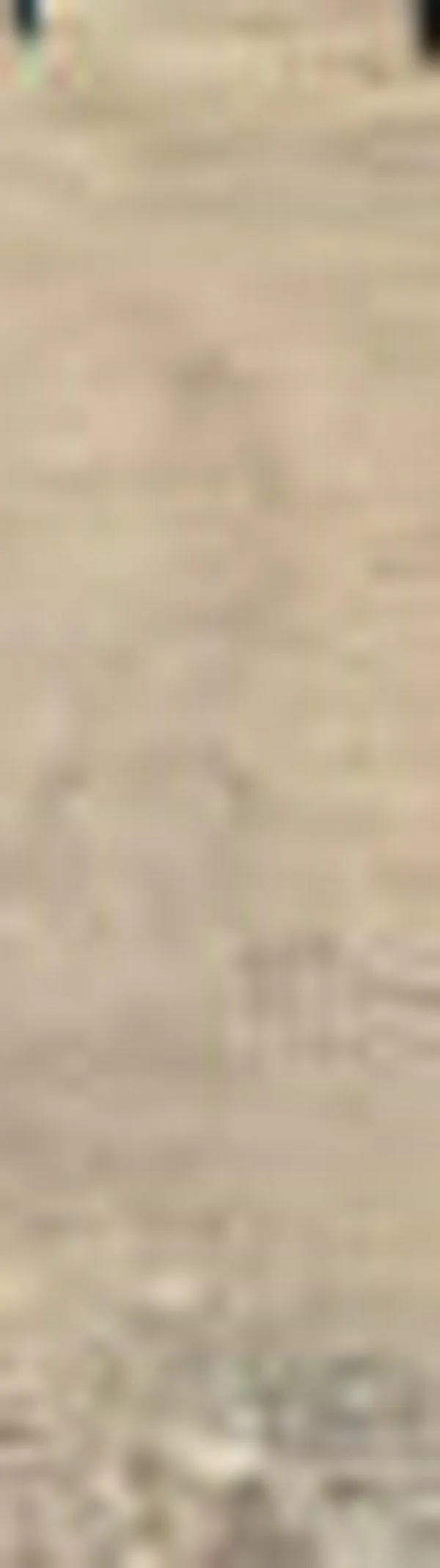 Alerta en el norte de Cali: se volcó un tramo clave del jarillón