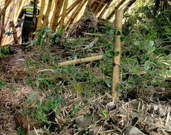 Le hacen frente a las lluvias