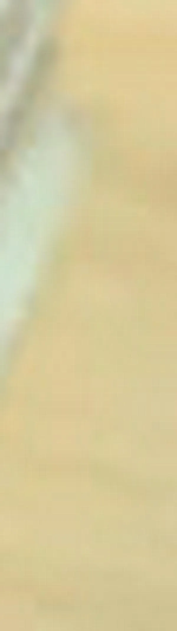 Colombia se consolida como destino turístico de alta demanda en la región