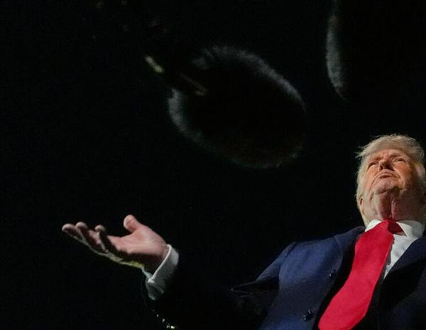 imagen principal home