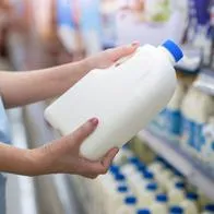 Golpe duro para la leche que se produce en Colombia por novedad grande que hay con EE. UU. Varios productos no pagarán arancel. 