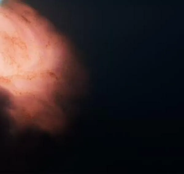 Revelan la imagen más nítida tomada alrededor de un agujero negro