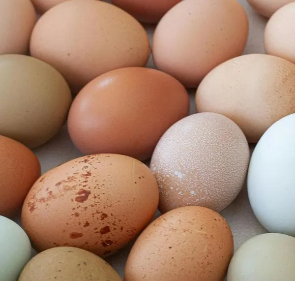 Venta de huevo barato en Colombia causa grandes perdidas: hay una crisis