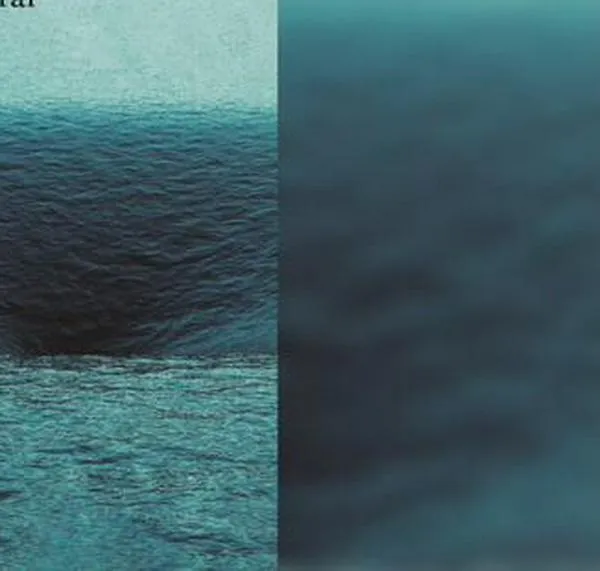 “Temporal”, de Tomás González | Fragmentos de Lectura