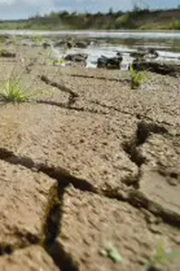 El mundo ya está en la era de la “bancarrota hídrica”, según informe de la ONU: ¿qué significa esto?