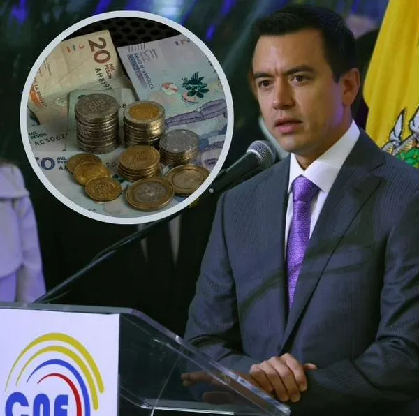 imagen principal home