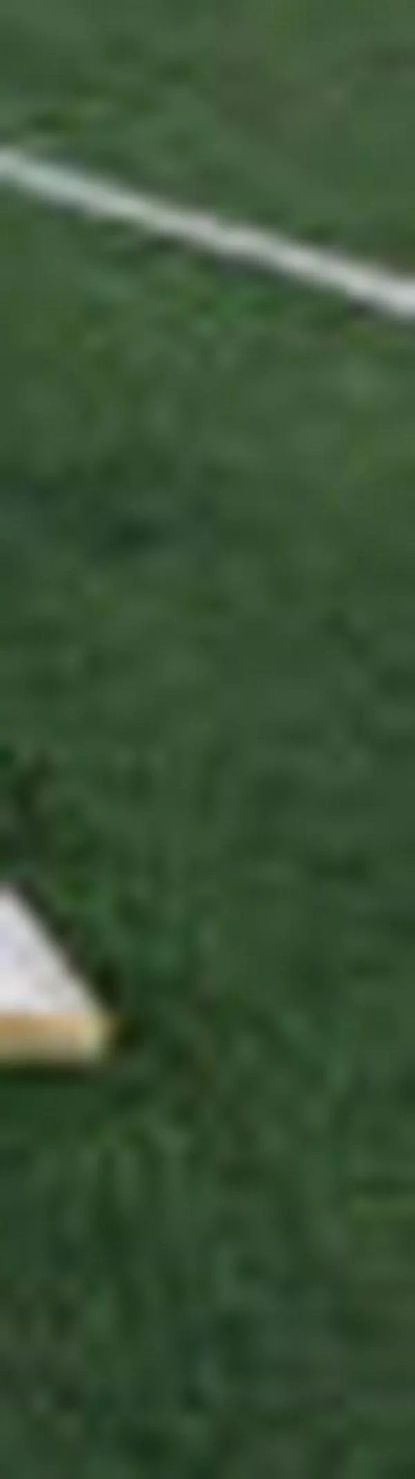 Incautan estupefacientes por tres millones de dólares