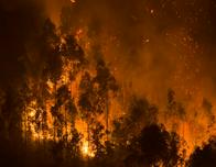 Incendios en Chile: Detienen a un sospechoso mientras aumentan a 21 los muertos