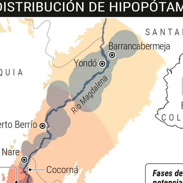 ¿Un hipopótamo en el río Cauca? Las razones que desmienten una foto que se volvió viral