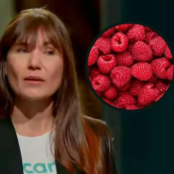 imagen principal home