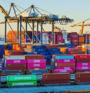 Imagen representativa del artículo