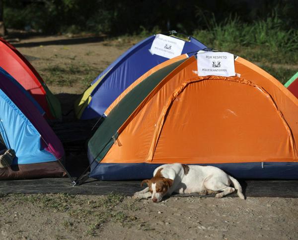 imagen principal home